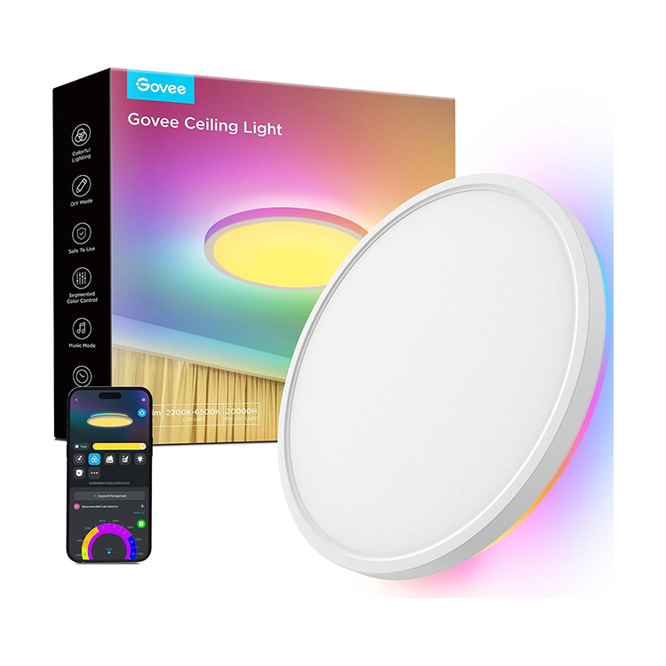 Govee Ceiling Light
