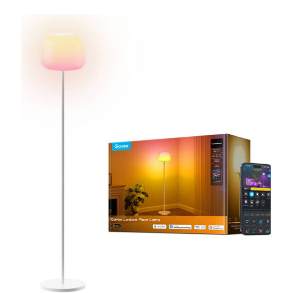 GoVee Lantern Floor Lamp S
